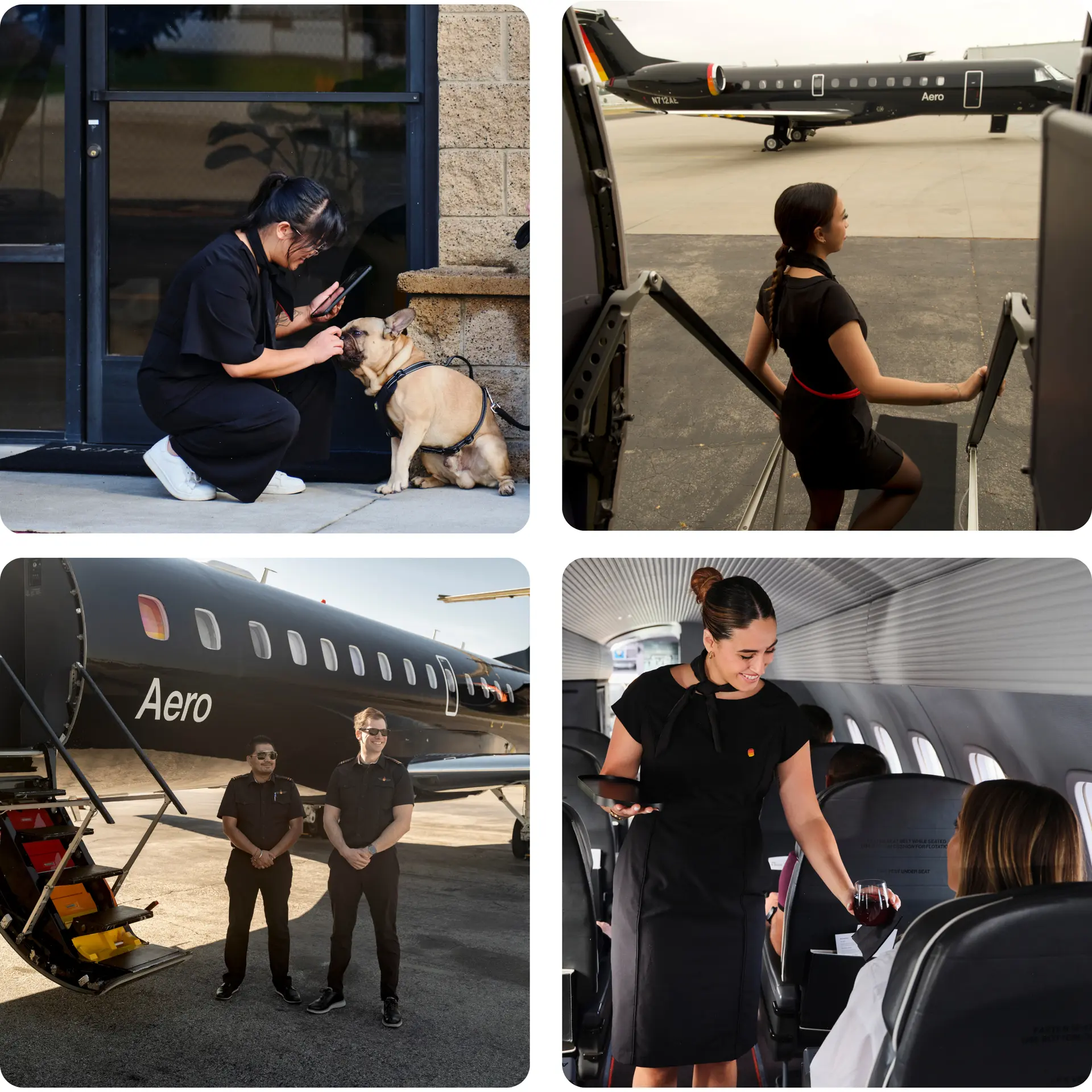 Aero - The Heart of the Organization - Our Team 1